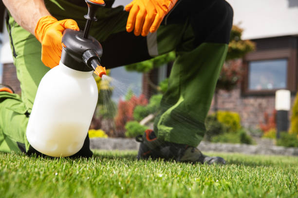 Rockdale, IL Pest Control Company
