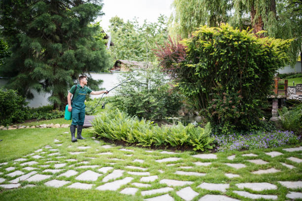 Pest Prevention Services in Rockdale, IL