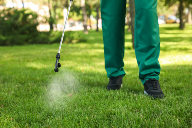 Pest Control Cost in Rockdale, IL