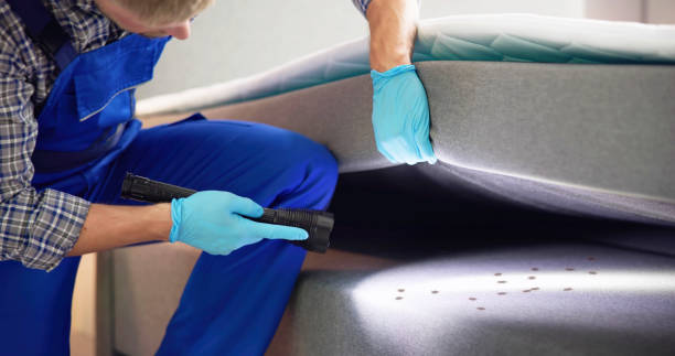 Best Affordable Pest Control Services  in Rockdale, IL