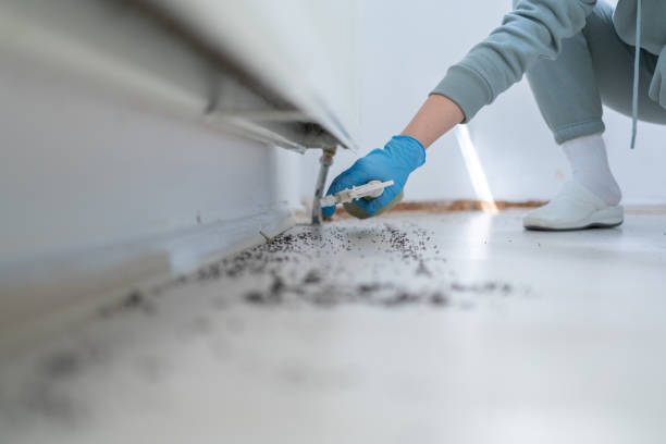 Best Exterminator Services  in Rockdale, IL