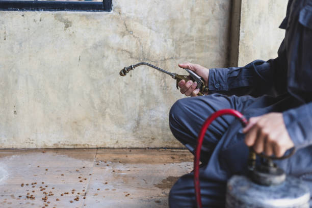 Best Commercial Pest Control Services  in Rockdale, IL